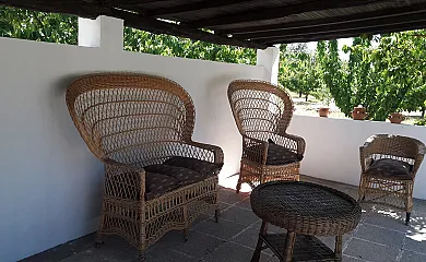 El Cerezal del Jerte en Navaconcejo (Cáceres) - Foto 8