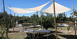 El Cerezal del Jerte 0010