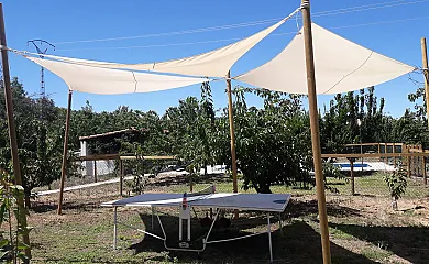El Cerezal del Jerte en Navaconcejo (Cáceres) - Foto 10