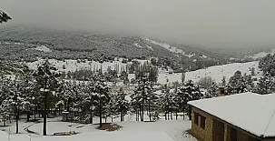 Cortijo La Tapia 0020