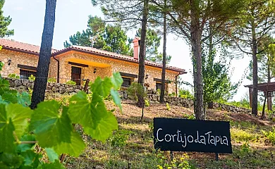 Cortijo La Tapia en Riopar (Albacete) - Foto 1