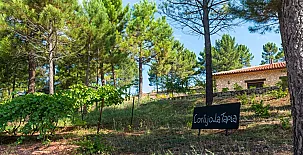Cortijo La Tapia 0042