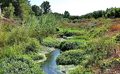 La Casa de la Plaza en Godelleta (Valencia) - Foto 21