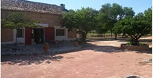 Rural Monóvar 0013