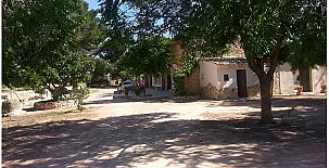 Rural Monóvar 0015