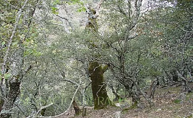 Las Tres Rosas en Los Navalucillos (Toledo) - Foto 13