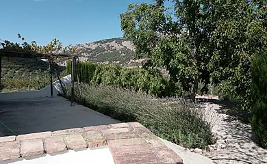 La Sierra en Torres (Jaén) - Foto 10