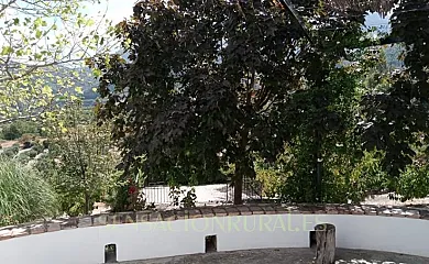 La Sierra en Torres (Jaén) - Foto 15