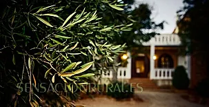 Cortijo del Rincón 006