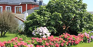 Apartamentos Jesús 0030