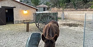 Las Villas de Fuentidueña 0098