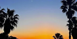 Lo Claustre del Delta y Alojamiento El Fangar 0011