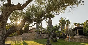 Lo Claustre del Delta y Alojamiento El Fangar 0025