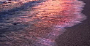 Lo Claustre del Delta y Alojamiento El Fangar 0071