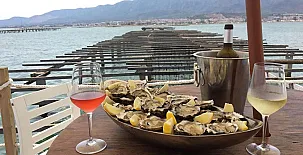 Lo Claustre del Delta y Alojamiento El Fangar 0041