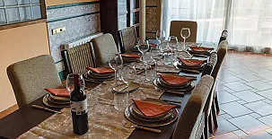 Lo Claustre del Delta y Alojamiento El Fangar 003