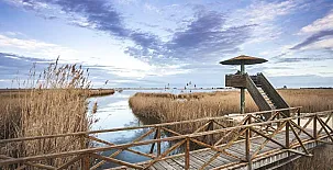 Lo Claustre del Delta y Alojamiento El Fangar 0051