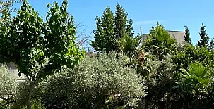 Lo Claustre del Delta y Alojamiento El Fangar 0053