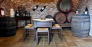 Lo Claustre del Delta y Alojamiento El Fangar 0056