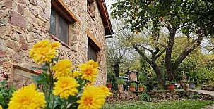 Molino de la Herrería 0024