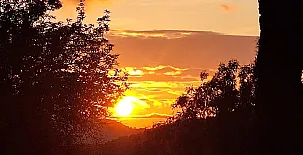 El Acebuchal, Ubrique 0028