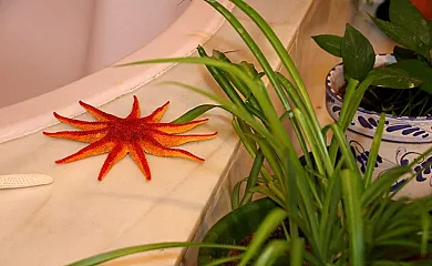 Molino Rodete en Jimera de Libar (Málaga) - Foto 19