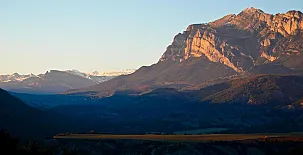 O Chardinet d`a Formiga 0032