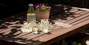 O Chardinet d`a Formiga 0036