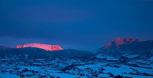 O Chardinet d`a Formiga 0037