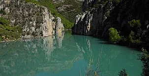 O Chardinet d`a Formiga 0038