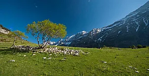 O Chardinet d`a Formiga 0040