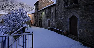 O Chardinet d`a Formiga 0041