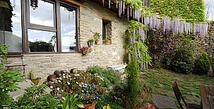 O Chardinet d`a Formiga 005