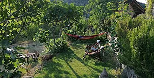 O Chardinet d`a Formiga 0043