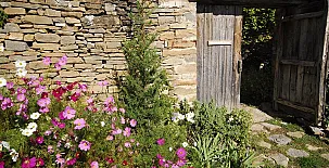 O Chardinet d`a Formiga 0045