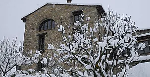 O Chardinet d`a Formiga 0046