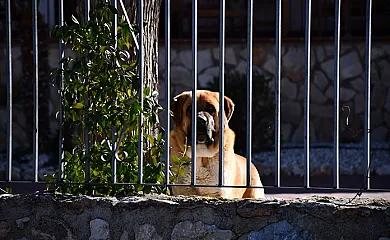 Cortijo de Abajo en Puebla de Don Fadrique (Granada) - Foto 11