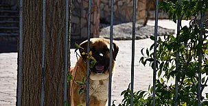 Cortijo de Abajo 0012