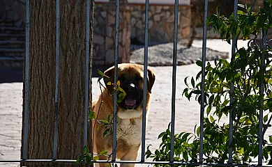 Cortijo de Abajo en Puebla de Don Fadrique (Granada) - Foto 12