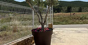 Finca La Bellota 0027