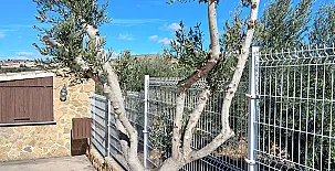 Finca La Bellota 0029