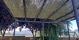 Finca La Bellota 0031