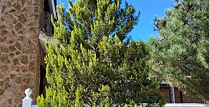 Finca La Bellota 0032