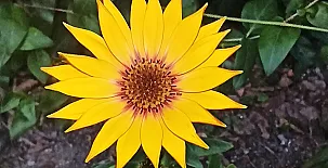 Casa Rural Ttipiaenea Landetxea 004