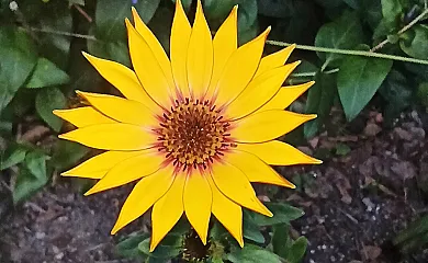 Casa Rural Ttipiaenea Landetxea en Ariz (Navarra) - Foto 4