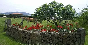 Vivienda Vacacional El Prado de la Romía 0037