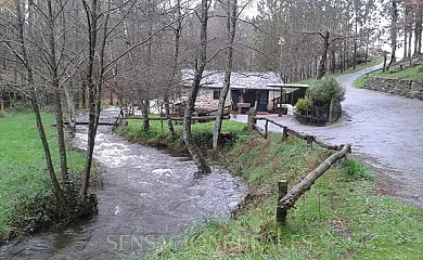 Molino de Louzao en Palas de Rei (Lugo) - Foto 12