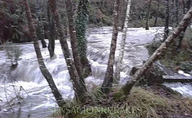 Molino de Louzao en Palas de Rei (Lugo) - Foto 13