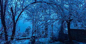 Casas Rurales La Artiga 0039