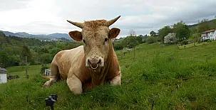 Vivienda Vacacional La Llera 0010